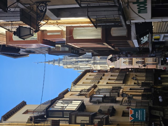 20260221_095938.jpg
